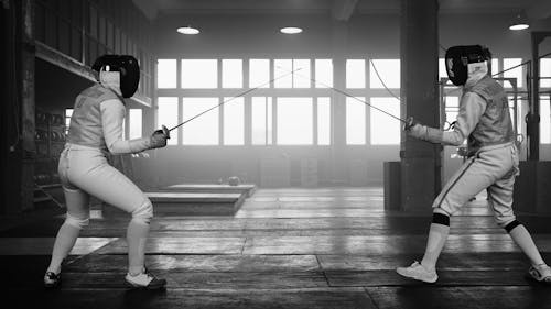 Free Fencers having a Match Stock Photo