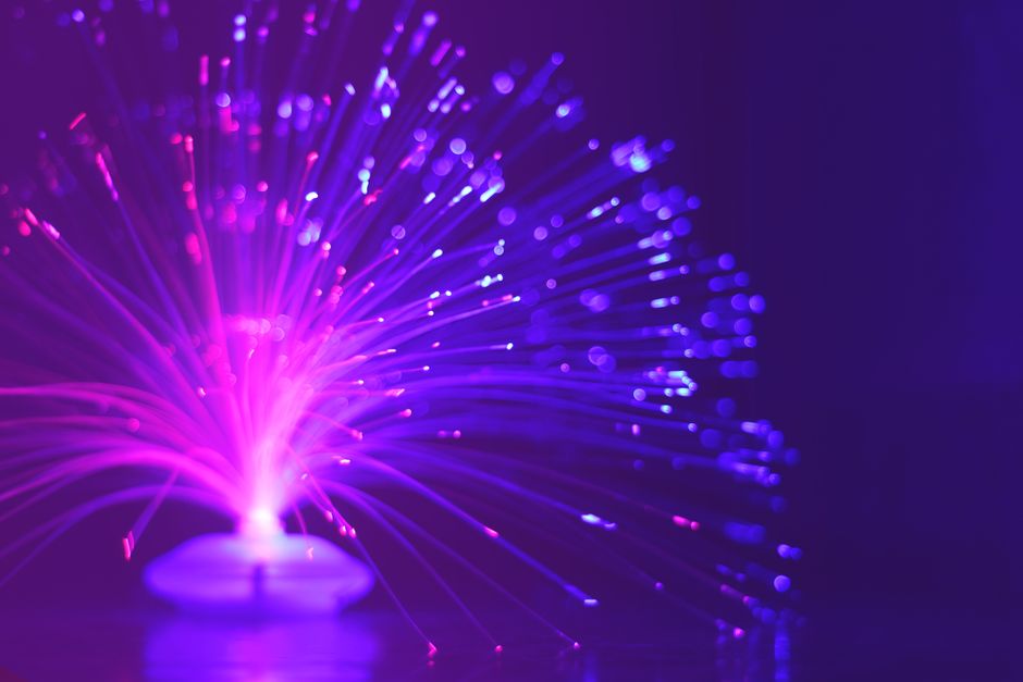 Abstract image of a vibrant purple and pink fiber optic light glowing at night.