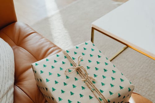 Wrapped Christmas Gift on a Sofa 