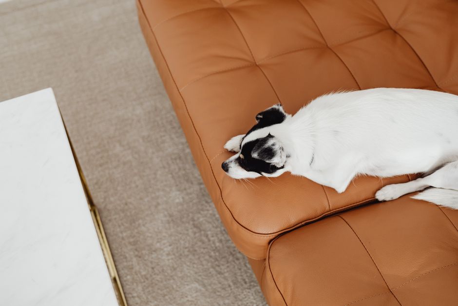 Q: Are West Elm Couch Dupes as Good as the Real Thing?