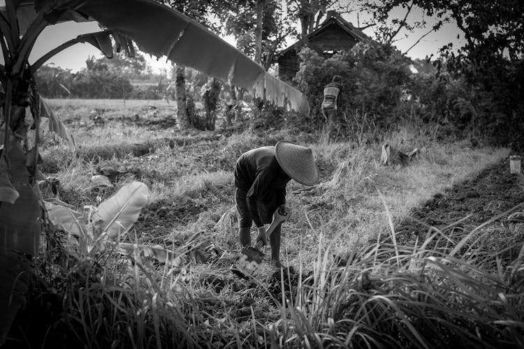 Farmer Working With Shovel