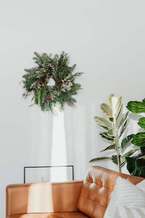 Indoor Plants Arrangement in a Living Room