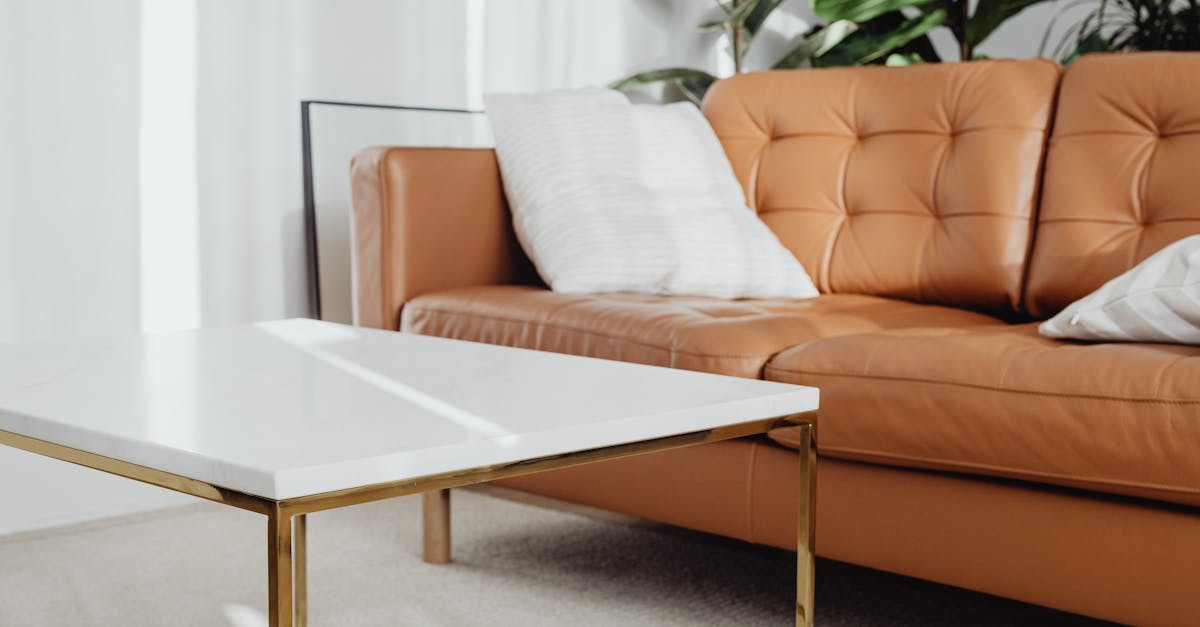 Les Secrets de Réussite des Marques Scandinaves