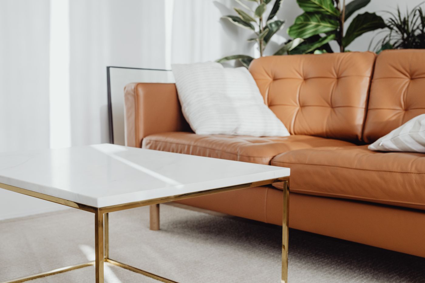 Contemporary living room interior with leather sofa, marble table and indoor plants in natural light