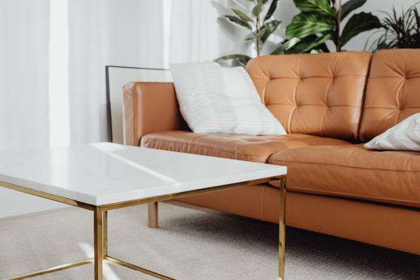 Contemporary living room with leather sofa, marble table and indoor plants in natural light