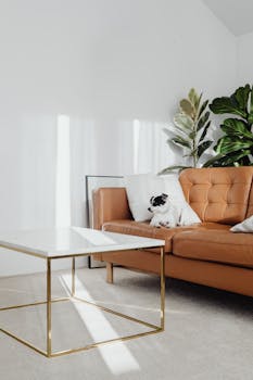 A cozy modern living room featuring a stylish sofa and a dog, perfect for design inspiration.