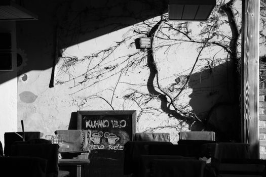 Black and white of street cafeteria with small tables and chairs near blackboard with menu near building shabby wall with tree branches in sunny day in town