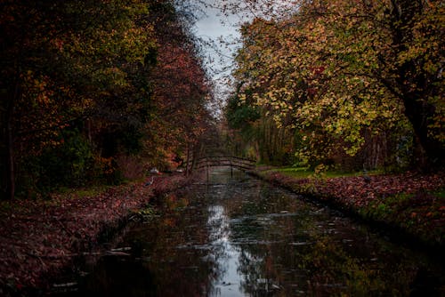 A Picturesque View of a Bridge Over a River