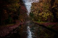 Picturesque autumn canal scene in Amsterdam with vibrant foliage and a serene reflection.
