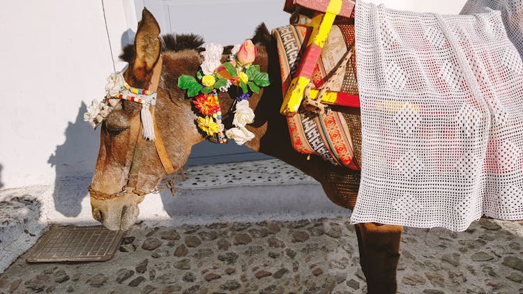 A Donkey With A Saddle And Colorful Decorations