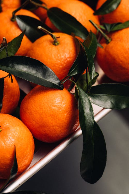 Gratis Foto stok gratis buah-buahan, clementine, jeruk keprok Foto Stok