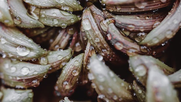 Close-up view of flower petals with water droplets, showcasing natural beauty and detail.