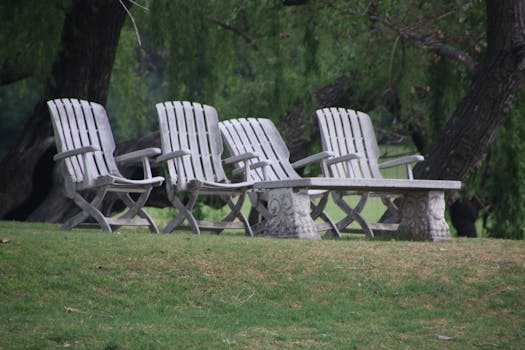 Free stock photo of bench, stool, holiday, garden