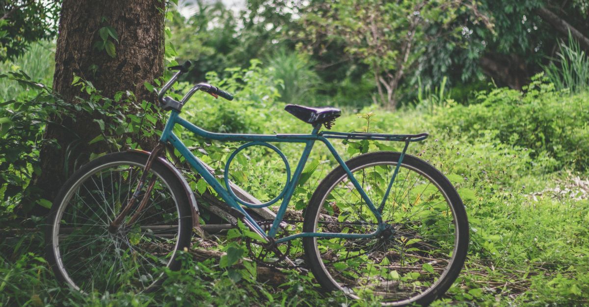 10 Consigli per Organizzare un Viaggio Sostenibile e Responsabile