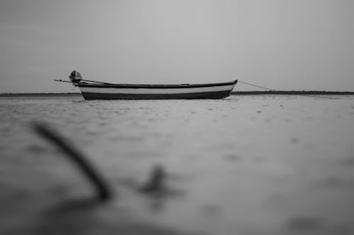 Kostenloses Stock Foto zu boot, einfarbig, graustufen