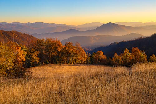 A Scenic View of a Grassland and Mountains