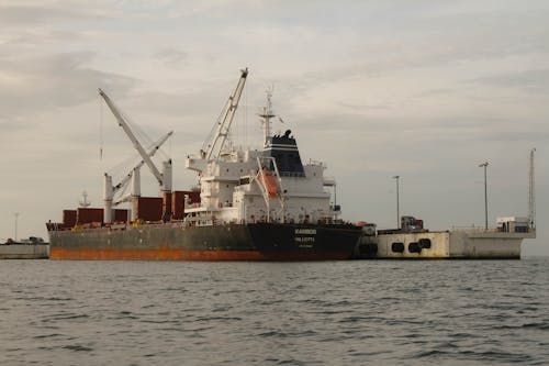 A Docked Bulk Carrier