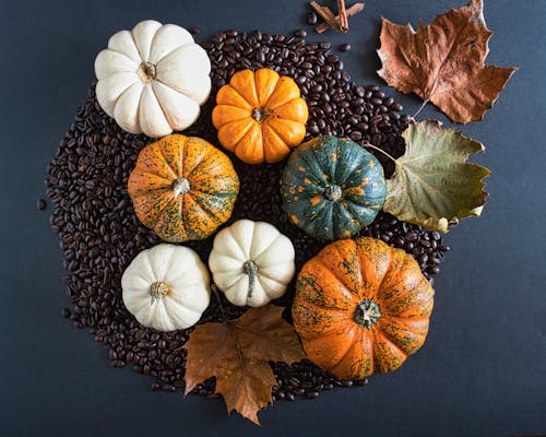 Free Coffee Beans, Pumpkins and Dried Leaves Stock Photo