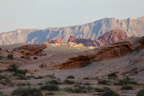 Free Stunning rock formations and lush terrain in Nevada's Valley of Fire State Park. Stock Photo