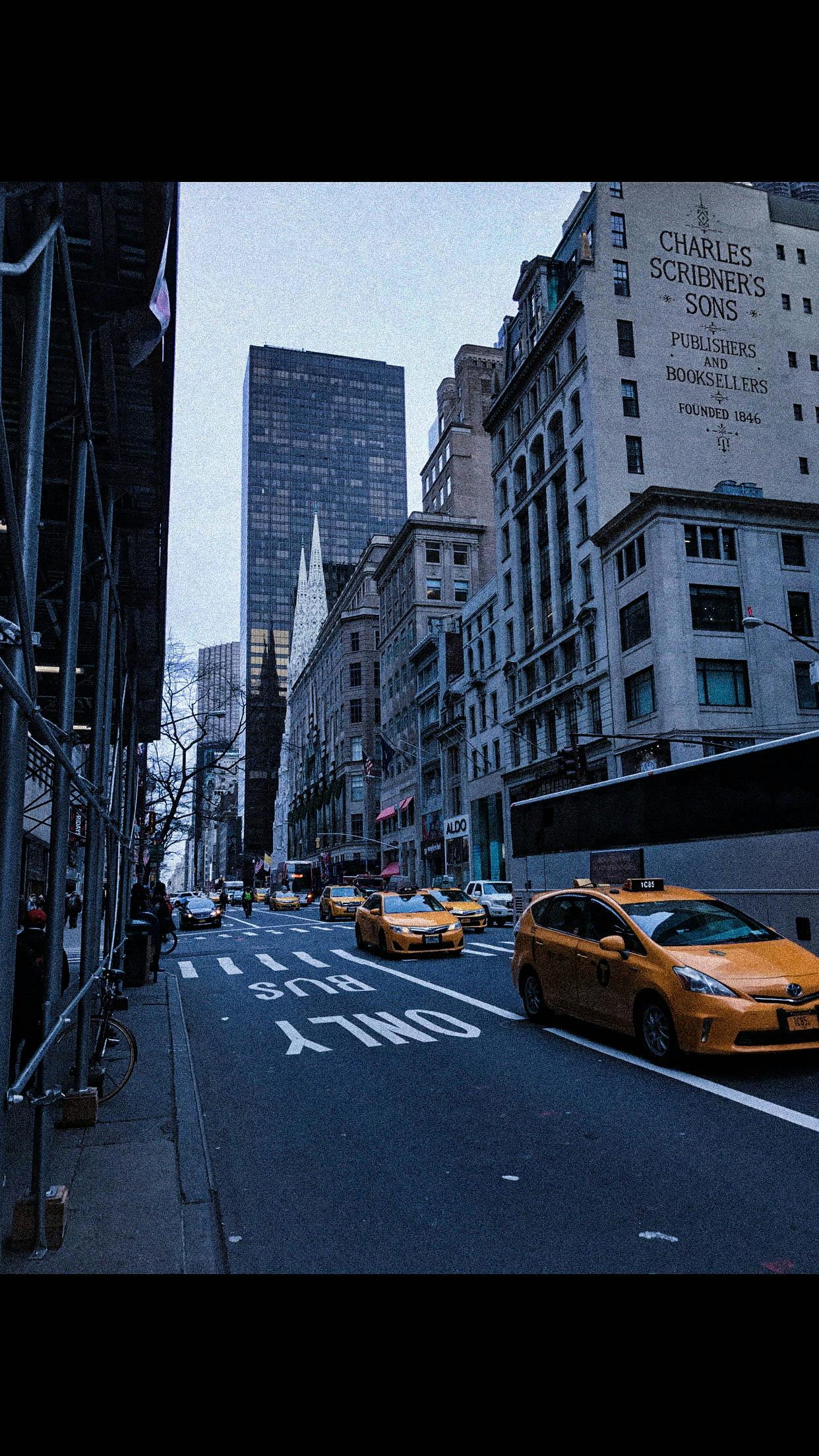 Free stock photo of city, cold, new york city