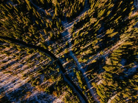 Stunning aerial photo capturing a dense pine forest with a meandering stream and winter shadows.