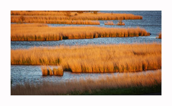 Royalty free images of nature, water, grass, lake