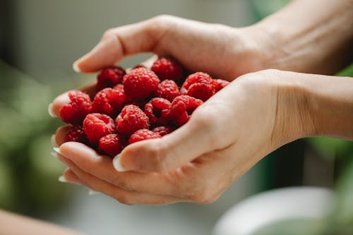 Crop woman with raspberries in hands