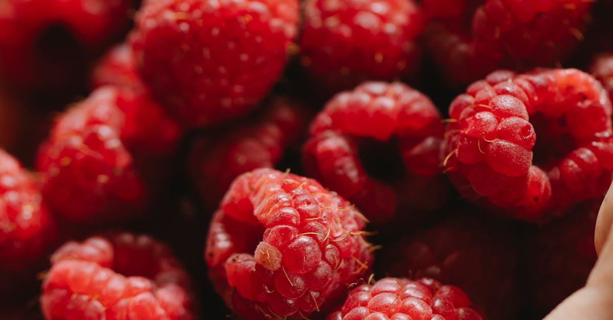 Does artificial raspberry flavoring come from a beaver