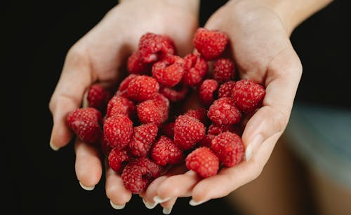 Crop woman picking raspberries in garden