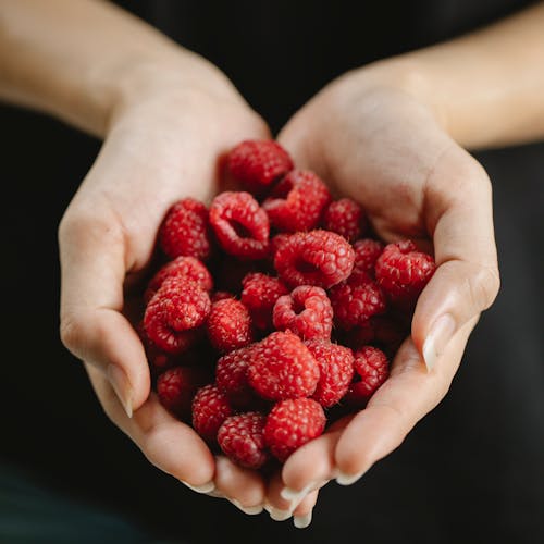 Free Unrecognizable female with ripe raspberries in hands standing on black background while collecting berries during harvest season Stock Photo