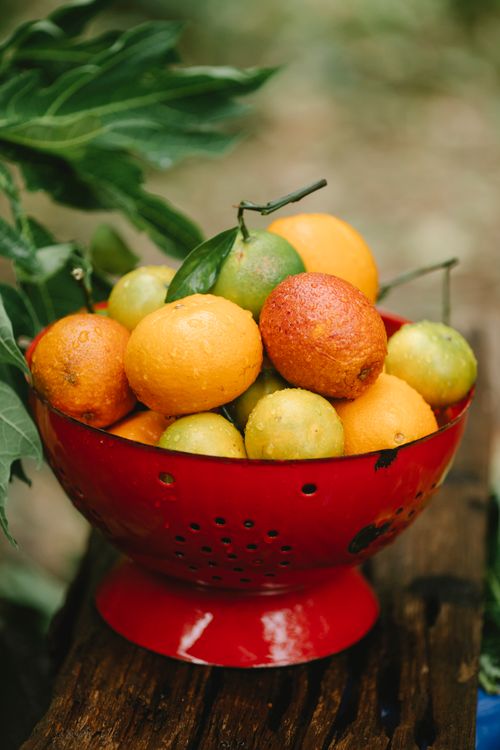 Free Mix of ripe tangerines and limes served in bowl placed on wooden counter near green foliage in garden on blurred background Stock Photo
