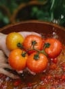 Crop woman washing tomatoes in water bowl
