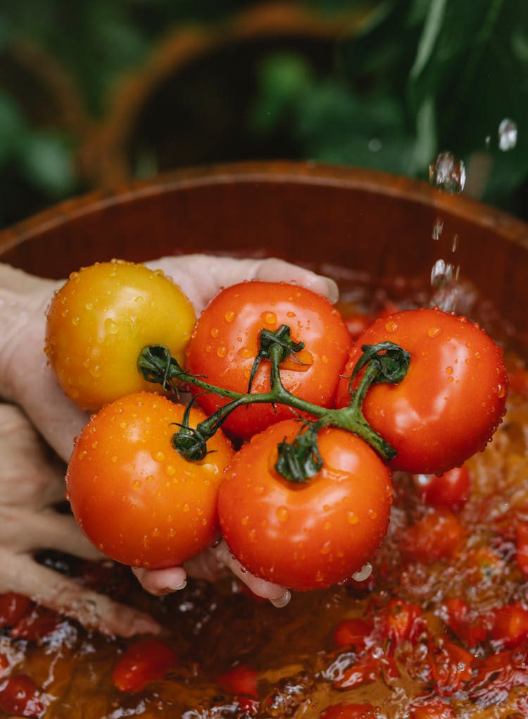 Crop Woman Washing Tomatoes In Water Bowl