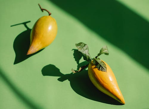 From above of ripe yellow exotic canistel fruits placed on green surface under bright sunlight