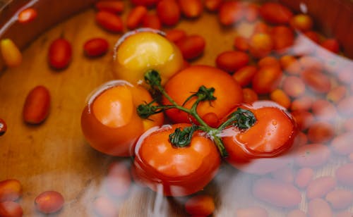 Gratis Tandan Tomat Merah Yang Sudah Dipanen Dalam Mangkuk Air Foto Stok