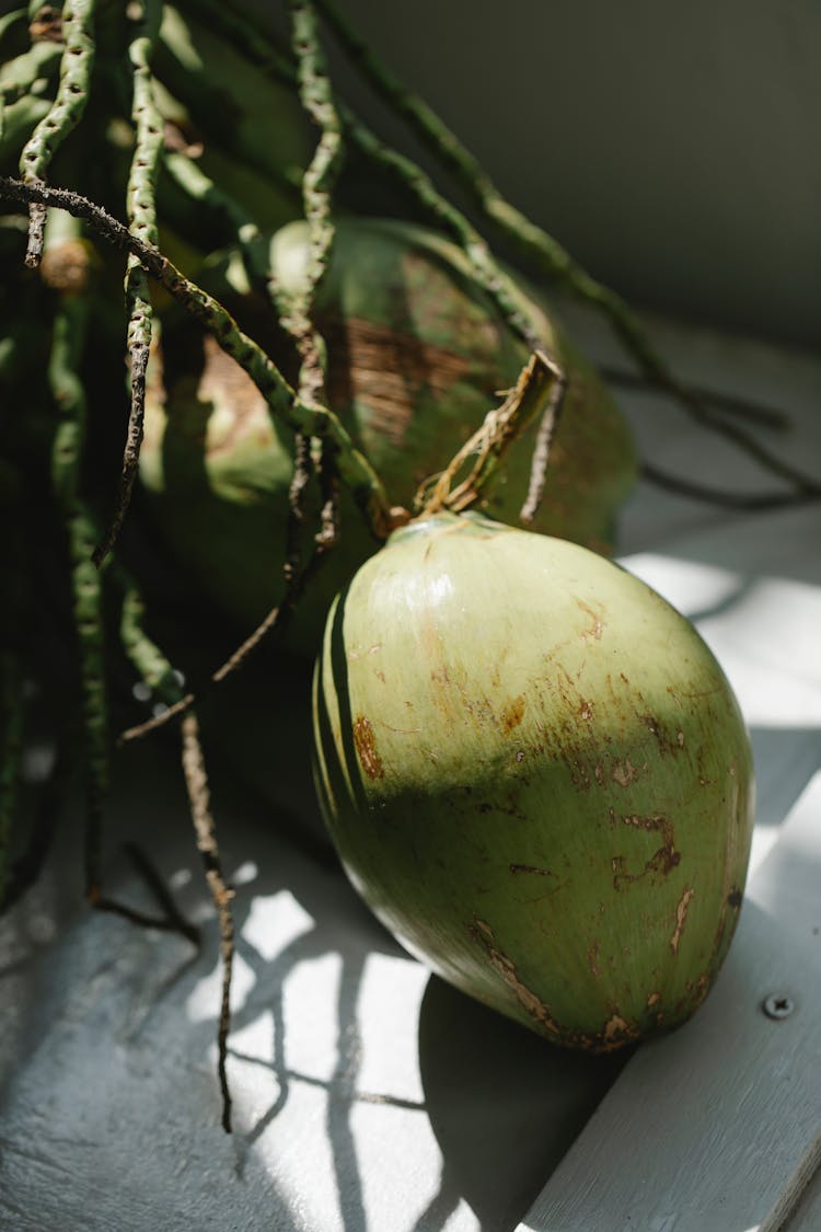 Whole Big Green Coconuts On Tree Branches