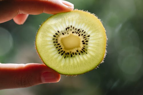 Free Crop anonymous person demonstrating pulp texture of ripe kiwi with seeds at sunshine Stock Photo