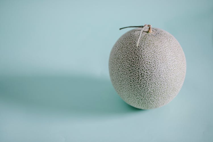 Japanese Melon On Blue Background