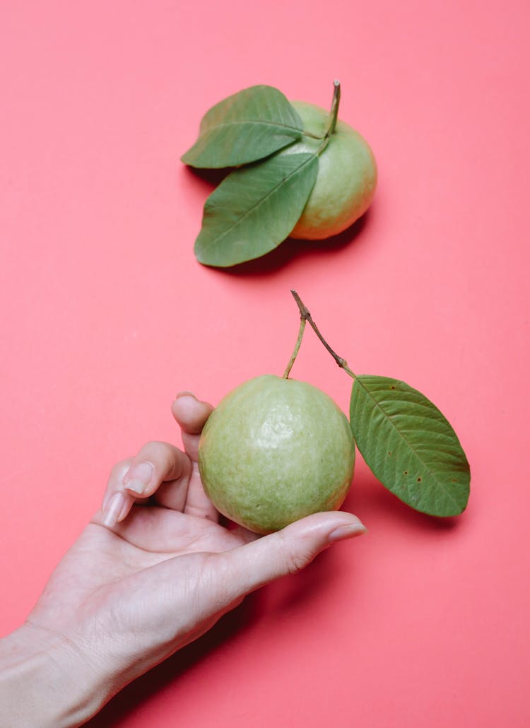 Crop Woman With Guava Fruits