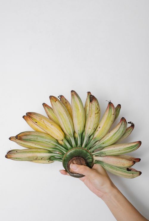 Free From above of crop anonymous person with big hand of tasty yellow mini bananas Stock Photo