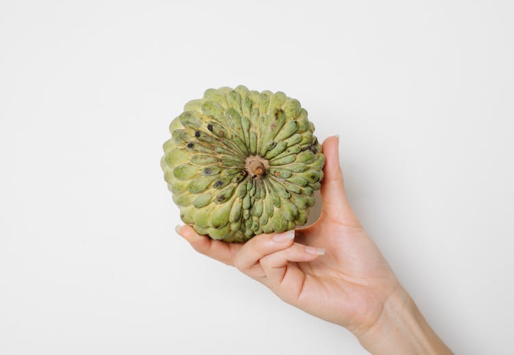 Crop Woman With Annona Fruit