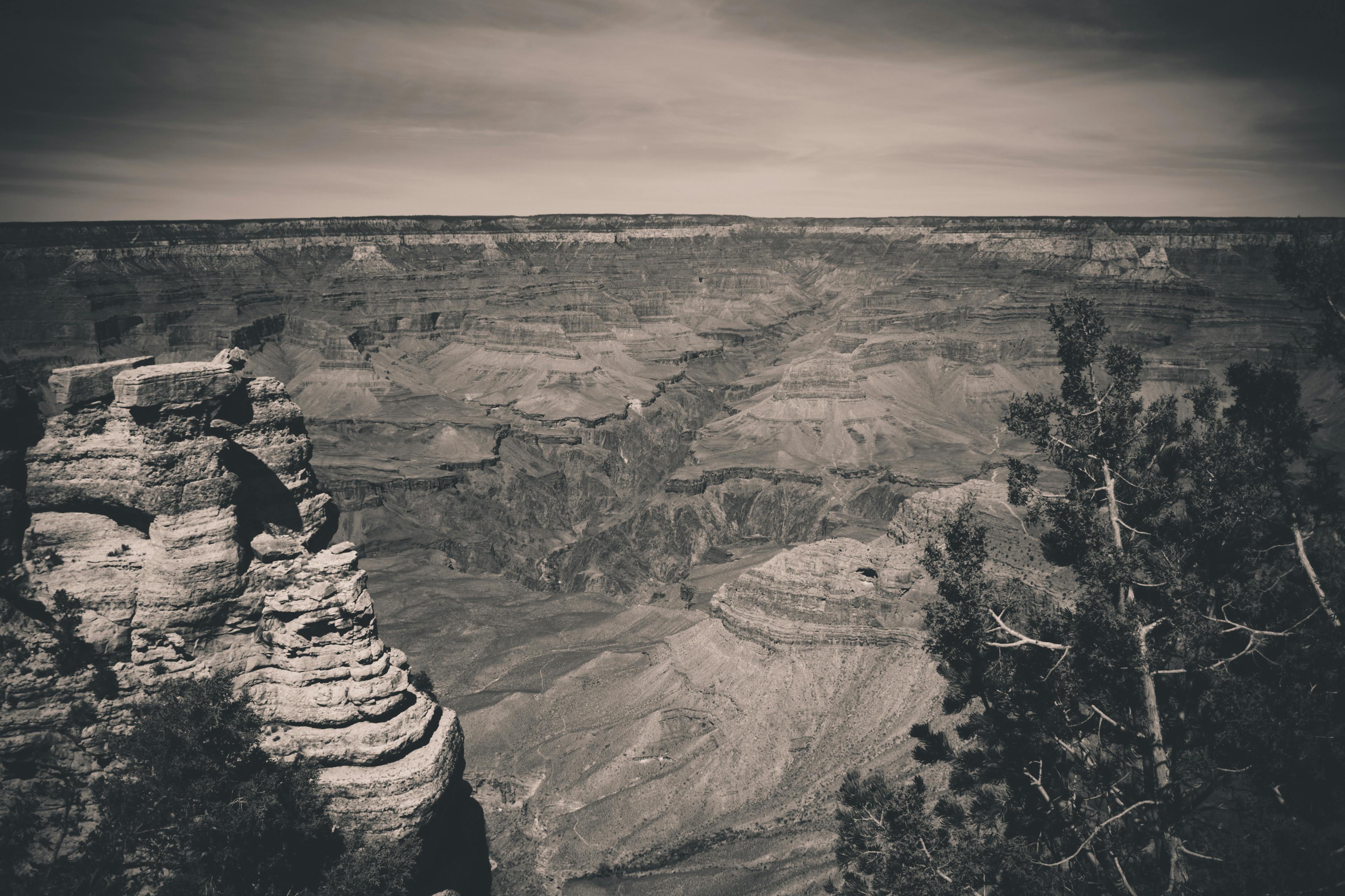 white canyon data wipe white canyon data wipe