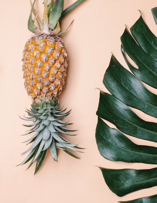 Top view of whole sweet tasty fruit of pineapple near big green tropical leaf on beige background