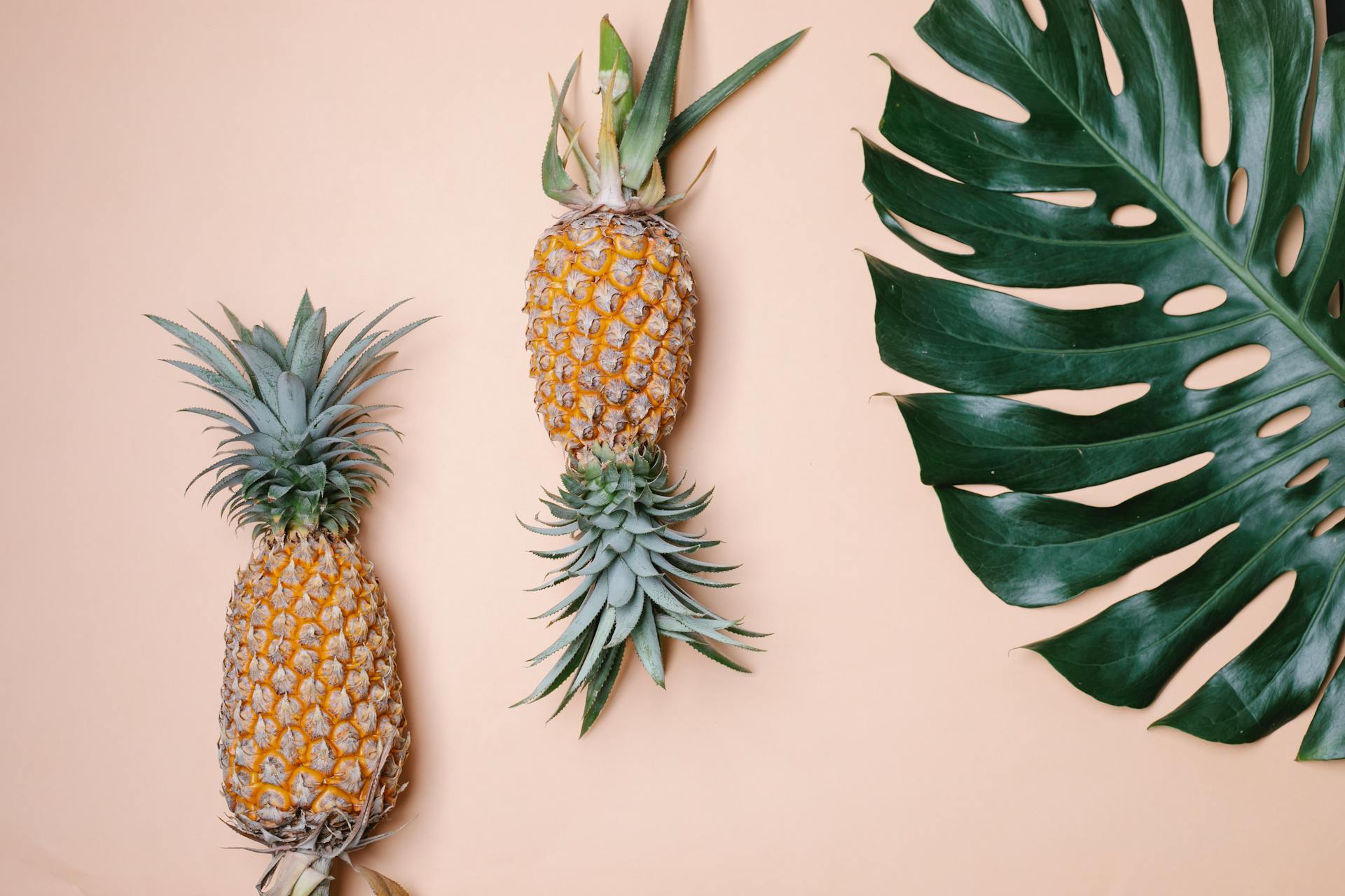 From above whole sweet yummy pineapples and big green tropical leaf on beige background