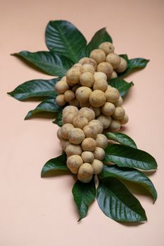 绿叶郁郁葱葱，一簇簇新鲜的火龙果色彩柔和，非常适合食品和健康主题