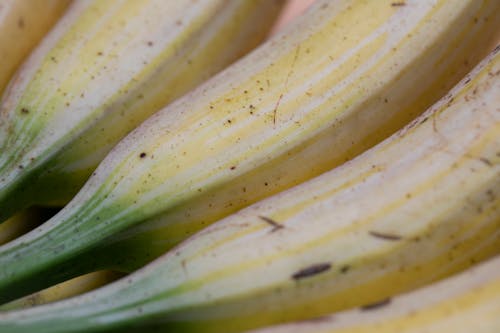 Free From above closeup of healthy fresh ripe yellow bananas with green stems and dark spots Stock Photo