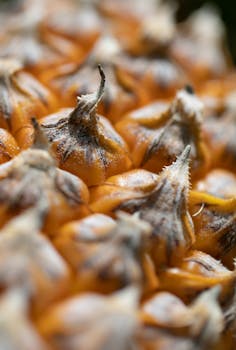 Detailed macro shot of a fresh unpeeled pineapple, showcasing its vibrant texture and color.