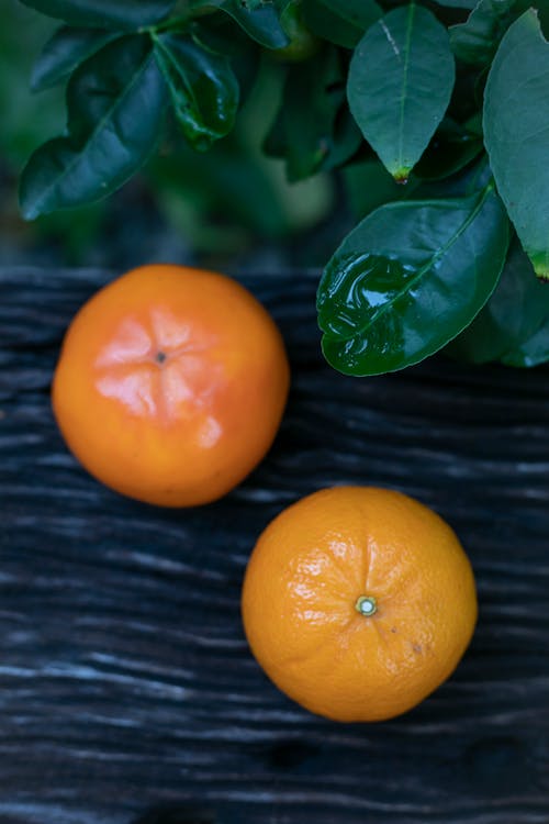 Fresh ripe tangerine and persimmon placed on wooden surface near green leaves