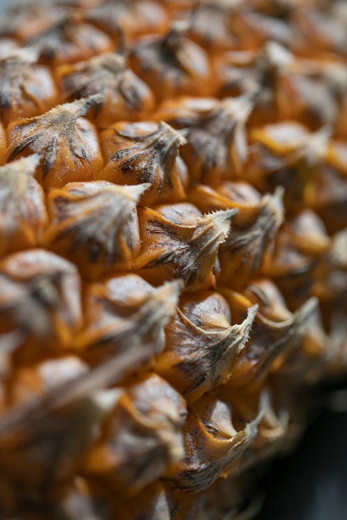 Background closeup with blur of exotic healthy ripe yellow pineapple fruit peel with dry endings
