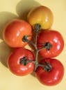 Top view composition of different fresh red and orange tomatoes with green branch with shadow placed on yellow background